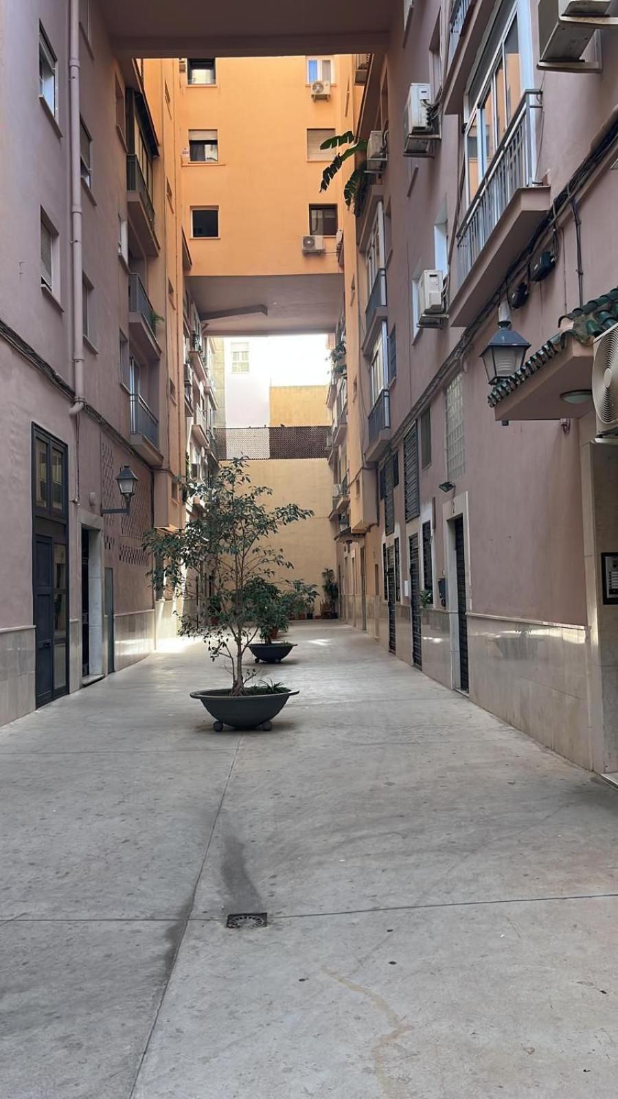 Homely Malaga Cienfuegos, Plaza De La Merced Con Vistas Exterior foto